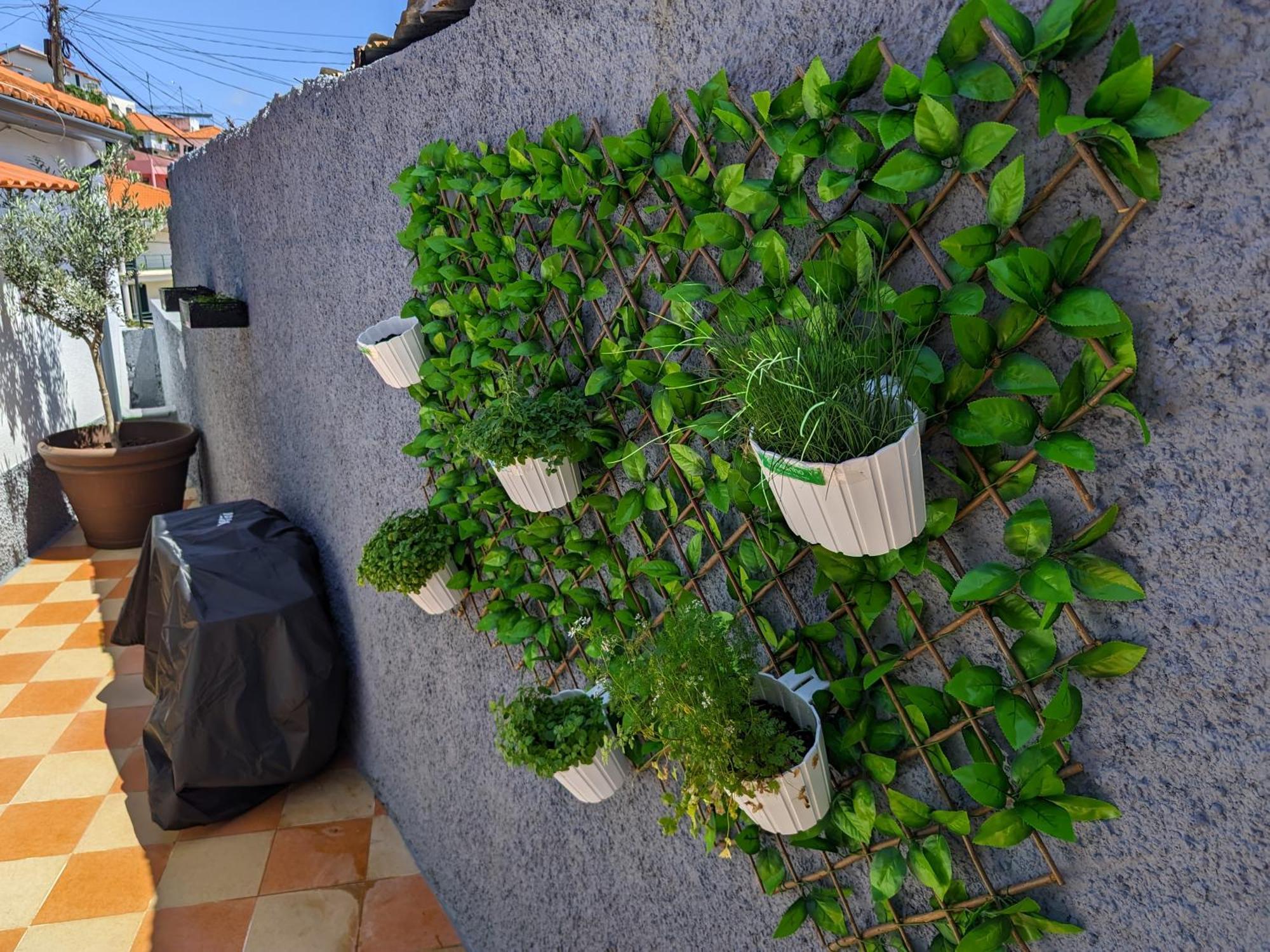 Casa Ascencao, Vista Mar Madeira Villa Фуншал Екстериор снимка